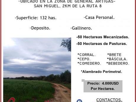 Vendo 132 Has En San Pedro Del Parana!!