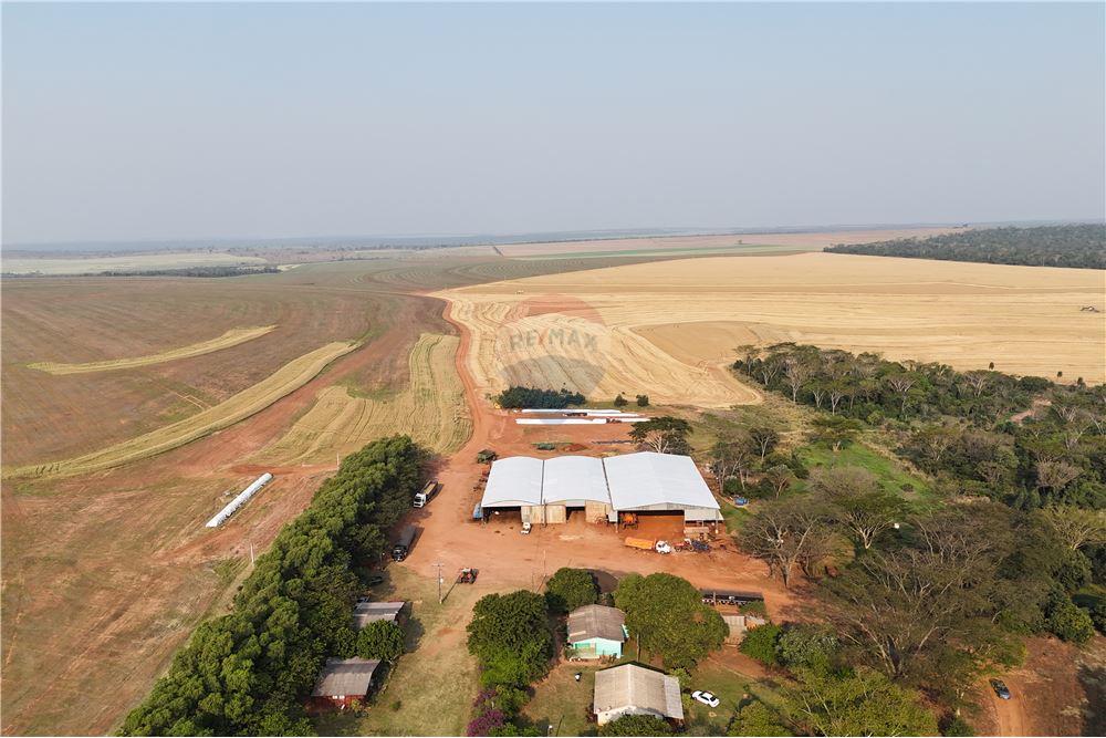 Vendo Campo Mecánizado de 1.030 Hectáreas en San Pedro, Tapiracuai Loma — foto 2