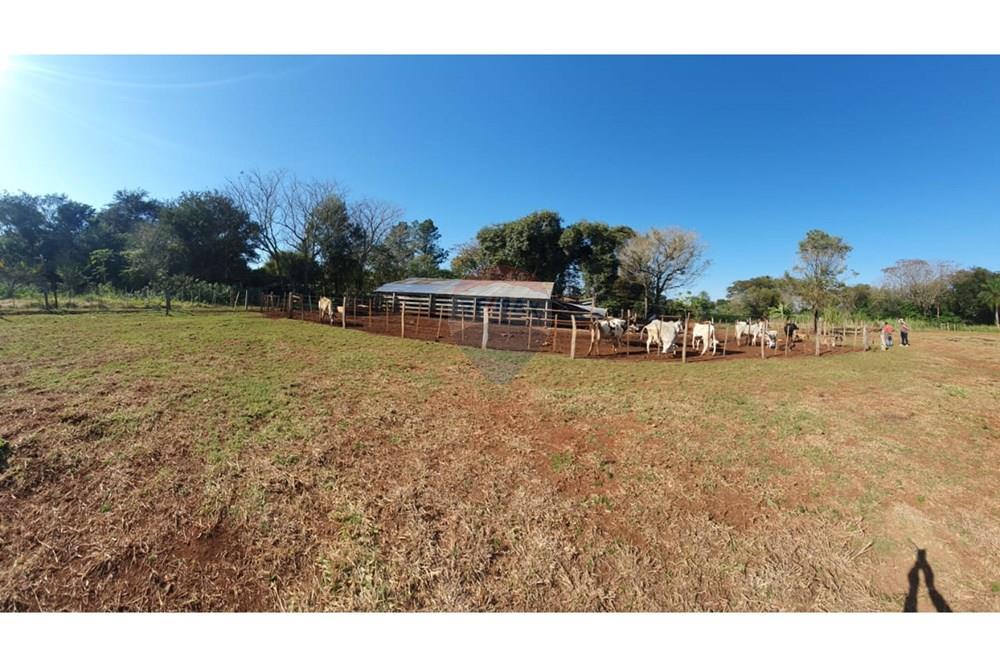 Terreno - Venta - Hernandarias, Alto Paraná, Paraguay — foto 3
