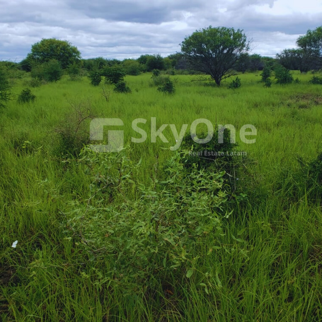 VENDO PROPIEDAD EN EL CHACO ???? Dpto. de Alto Paraguay, zona Tte. Martínez — foto 3