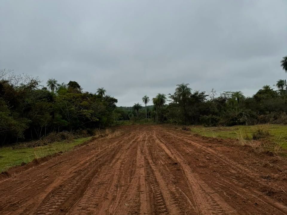 Vendo Terreno De 1 Hectárea Con Proyecto De Loteamiento En Loma Grande — foto 2