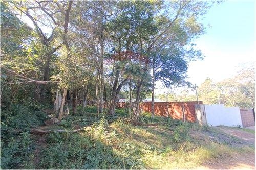 Terreno en venta en San Bernardino — foto 3