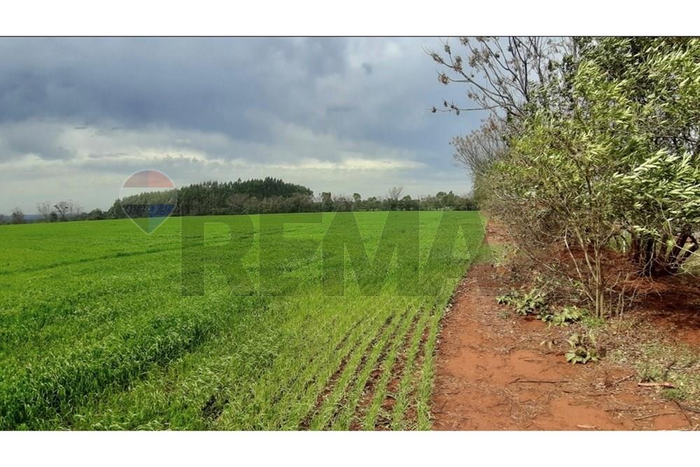 VENDO CAMPO AGRICOLA SOBRE RUTA EN CAPITAN MIRANDA ITAPUA — foto 2