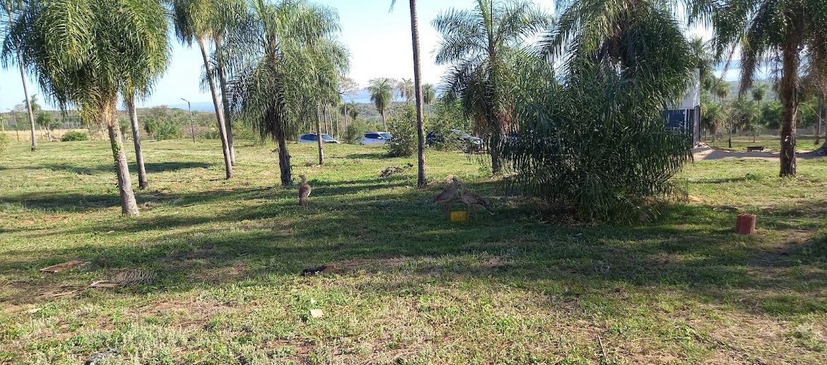 VENDO HERMOSO TERRENO CON VISTA AL LAGO EN CONDOMINIO ALTA PIETRA — foto 3