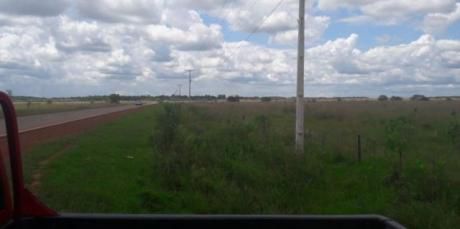 Nueva Londres 100 Ha De Campo Natural Sobre Ruta