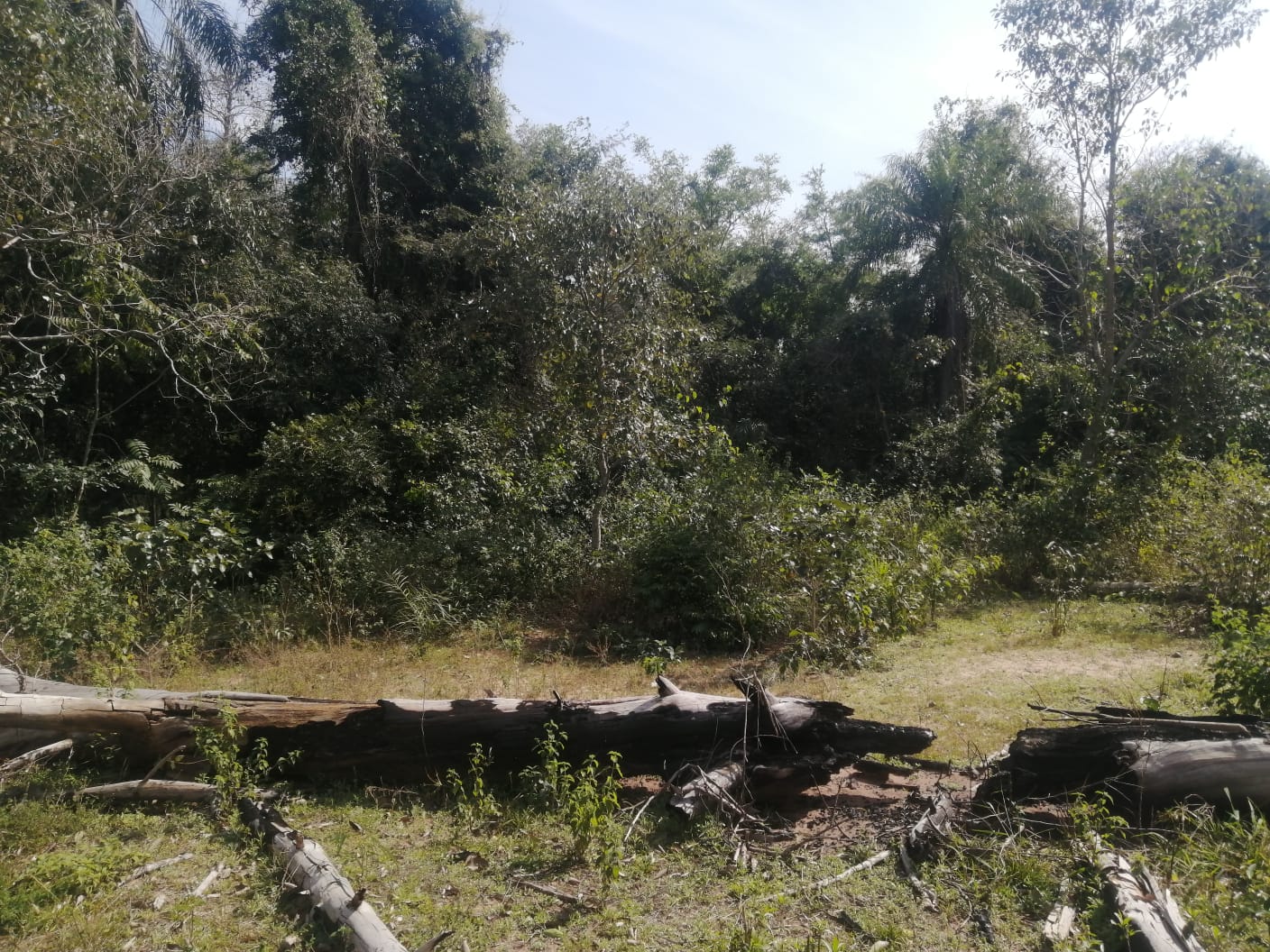 VENDO TERRENO SAN BERNARDINO - zona Ciervo cua — foto 2
