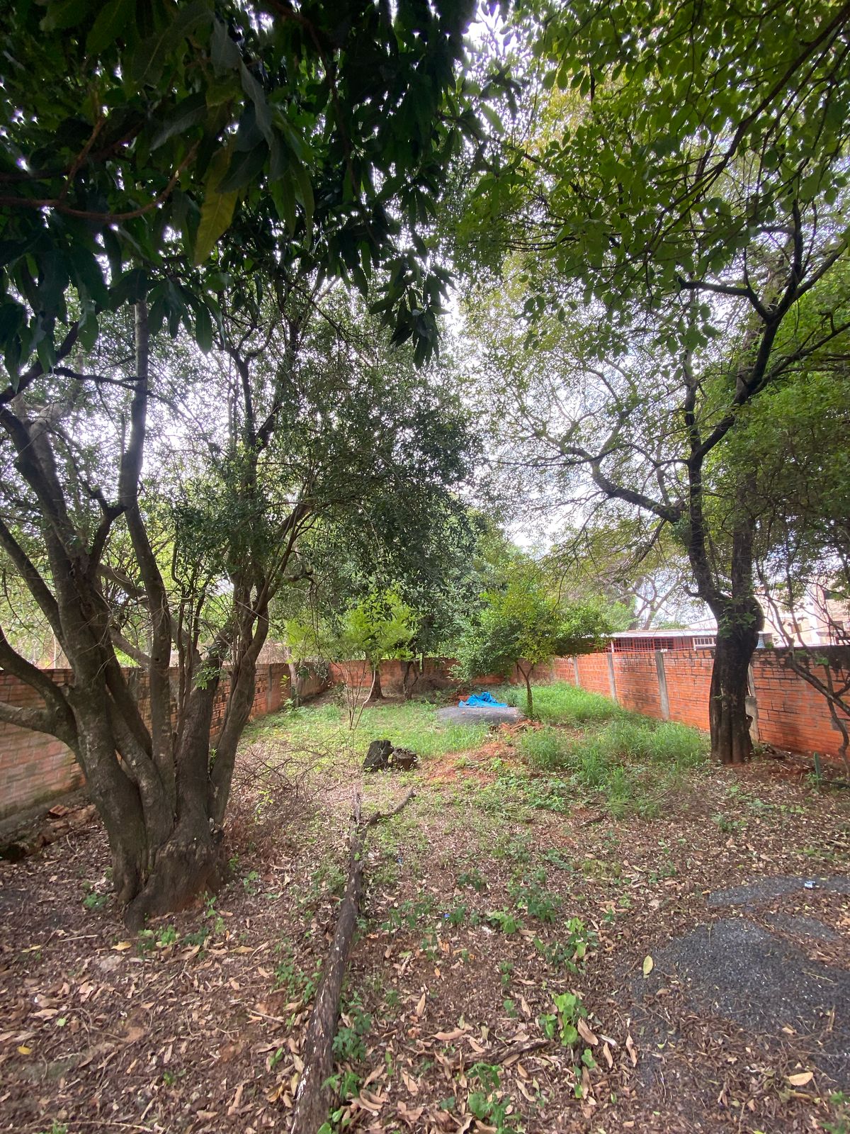 Terreno En Luque - Zona Motos Taiga - Laurelty — foto 2