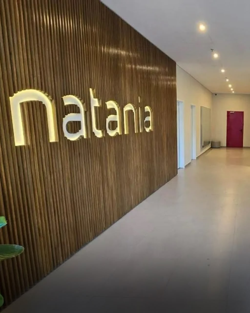 EN VENTA – DEPARTAMENTO TERMINADO DE 1 DORMITORIO  Natania 85 – Molas López — foto 2