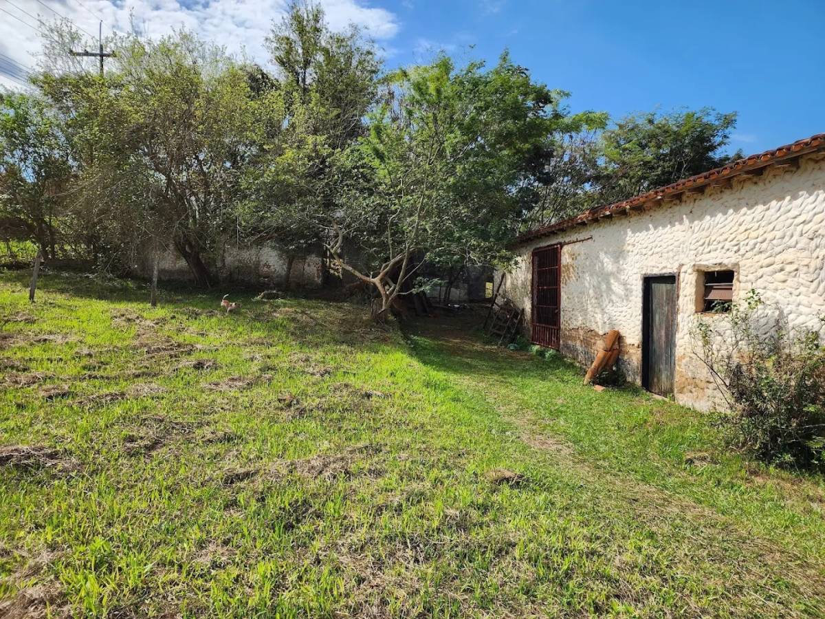 En Venta Granja En Caacupé - Sobre Ruta — foto 2