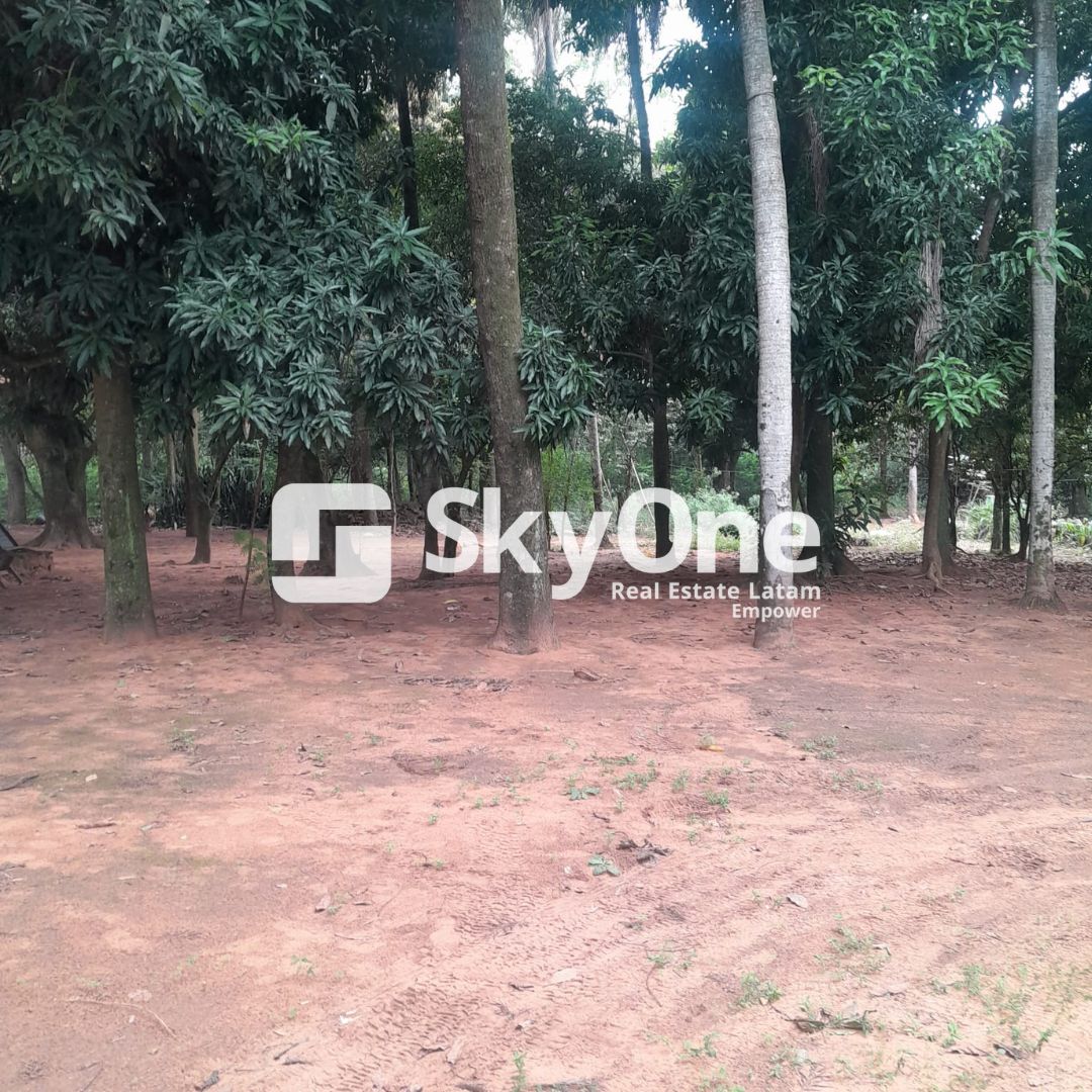 VENDO TERRENO DE 5000M2 EN SAN BERNARDINO — foto 2