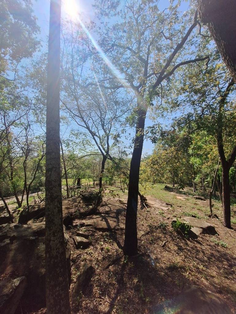 Vendo Hectáreas en Ciervo Cua con Vista Plena al Lago — foto 3