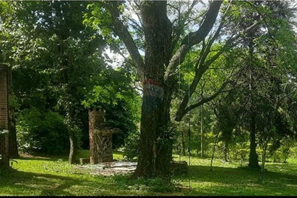 VENDO 6 HECTAREAS EN COLONIA SANTO DOMINGO ITAPUA — foto 2