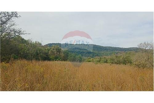 VENDO TERRENO DE 23 HECTAREAS EN PARAGUARI!!! — foto 3