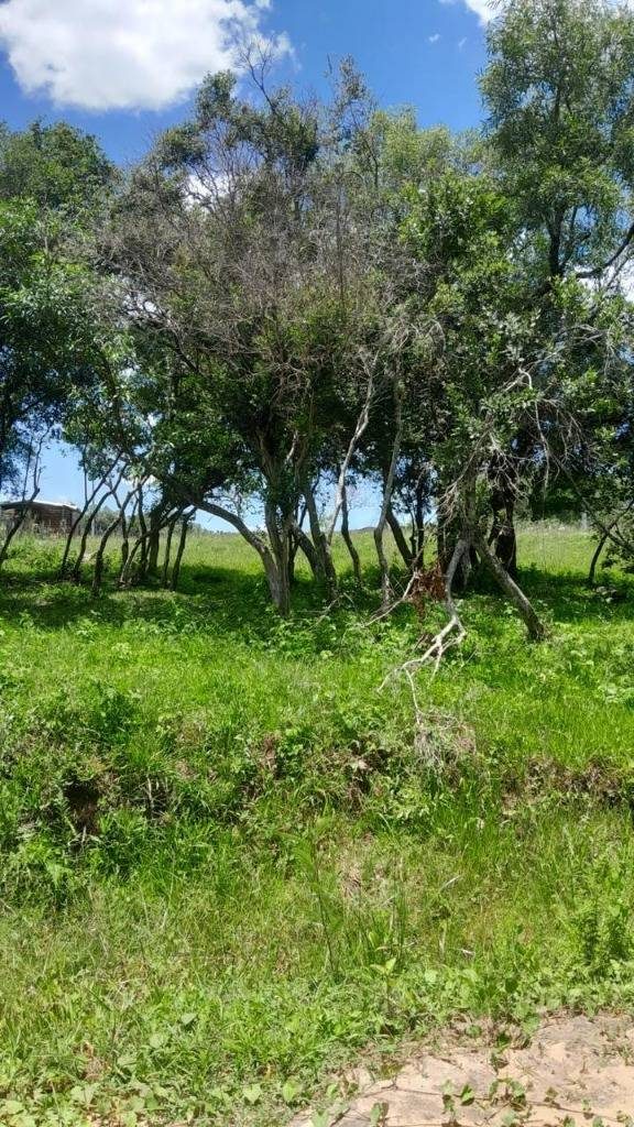 venta terreno Ytu Pora -Piribebuy — foto 2