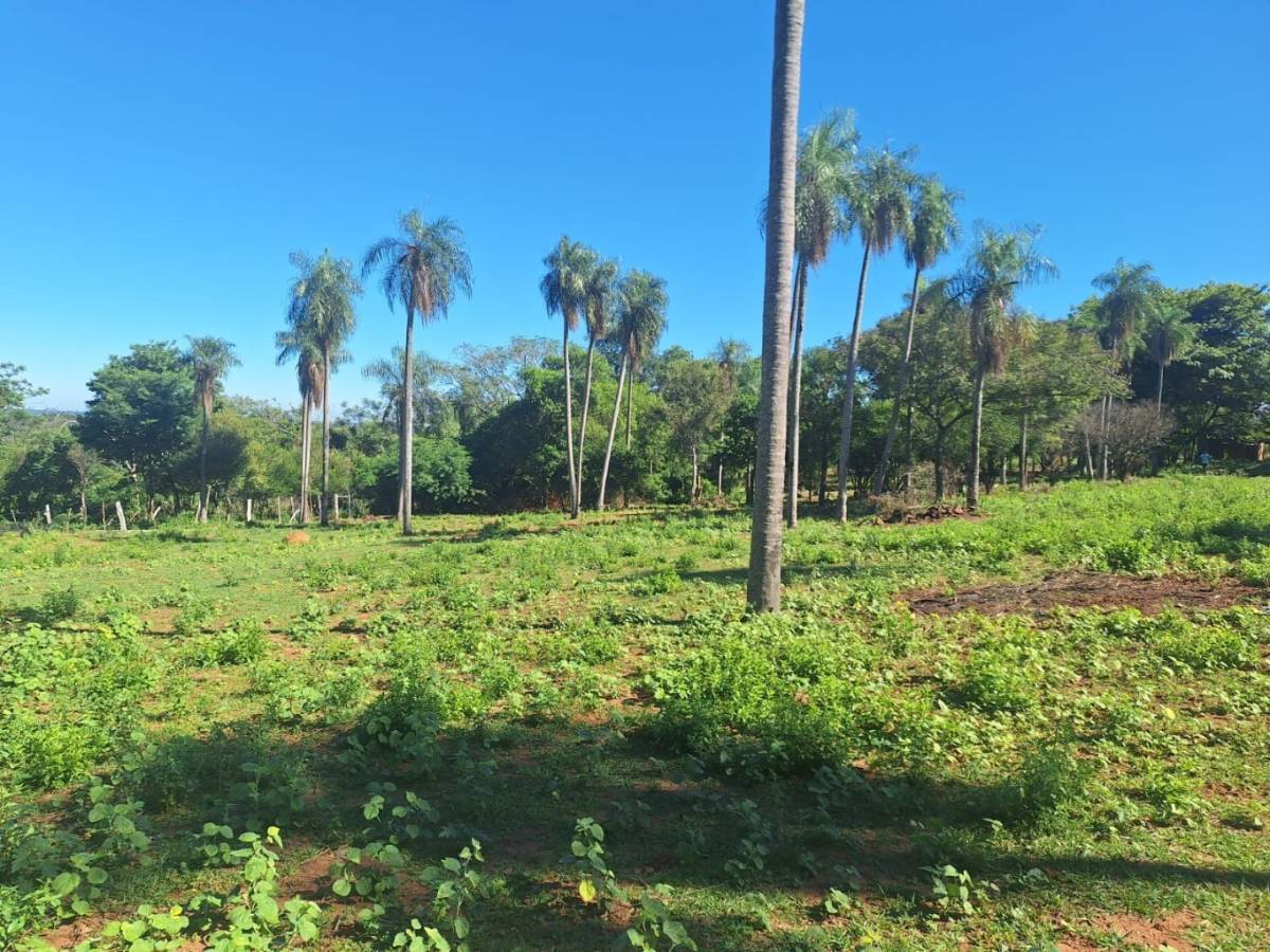 Vendo terreno con vista al Lago en San Bernardino — foto 3