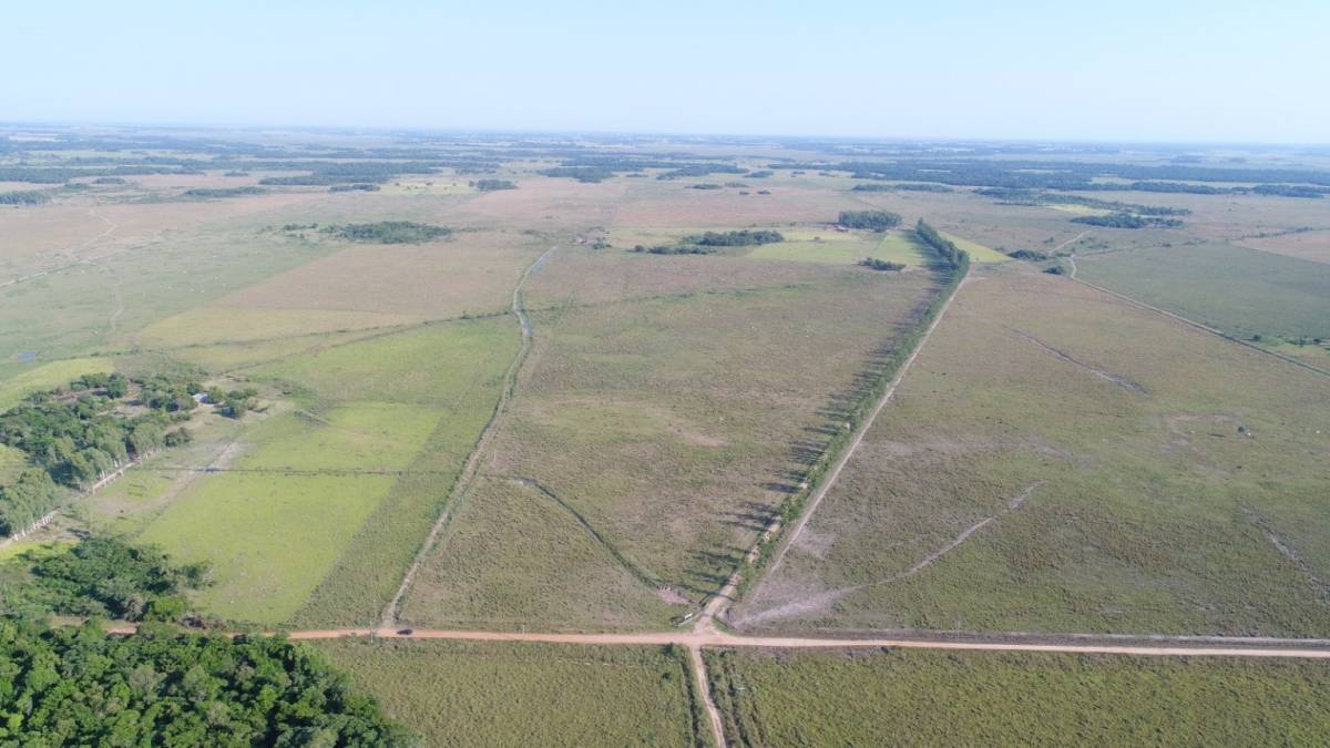 VENTA - Estancia ganadera 2.135 ha en producción - 25 de Diciembre, San Pedro — foto 2