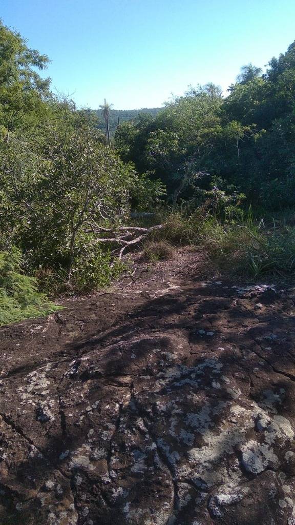 Vendo 8.5 Hectáreas en Mbatovi - Piribebuy — foto 3