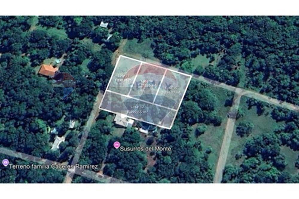 VENDO 4 TERRENOS EN ATYRA A 300.000.000. — foto 3