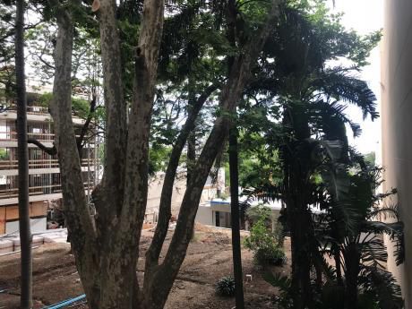 Alameda Del Prado