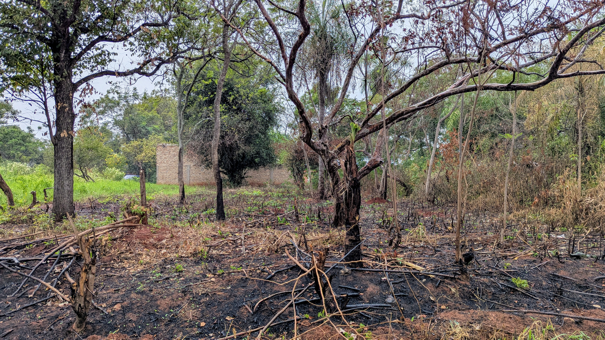 Terreno en venta en Luque — foto 2