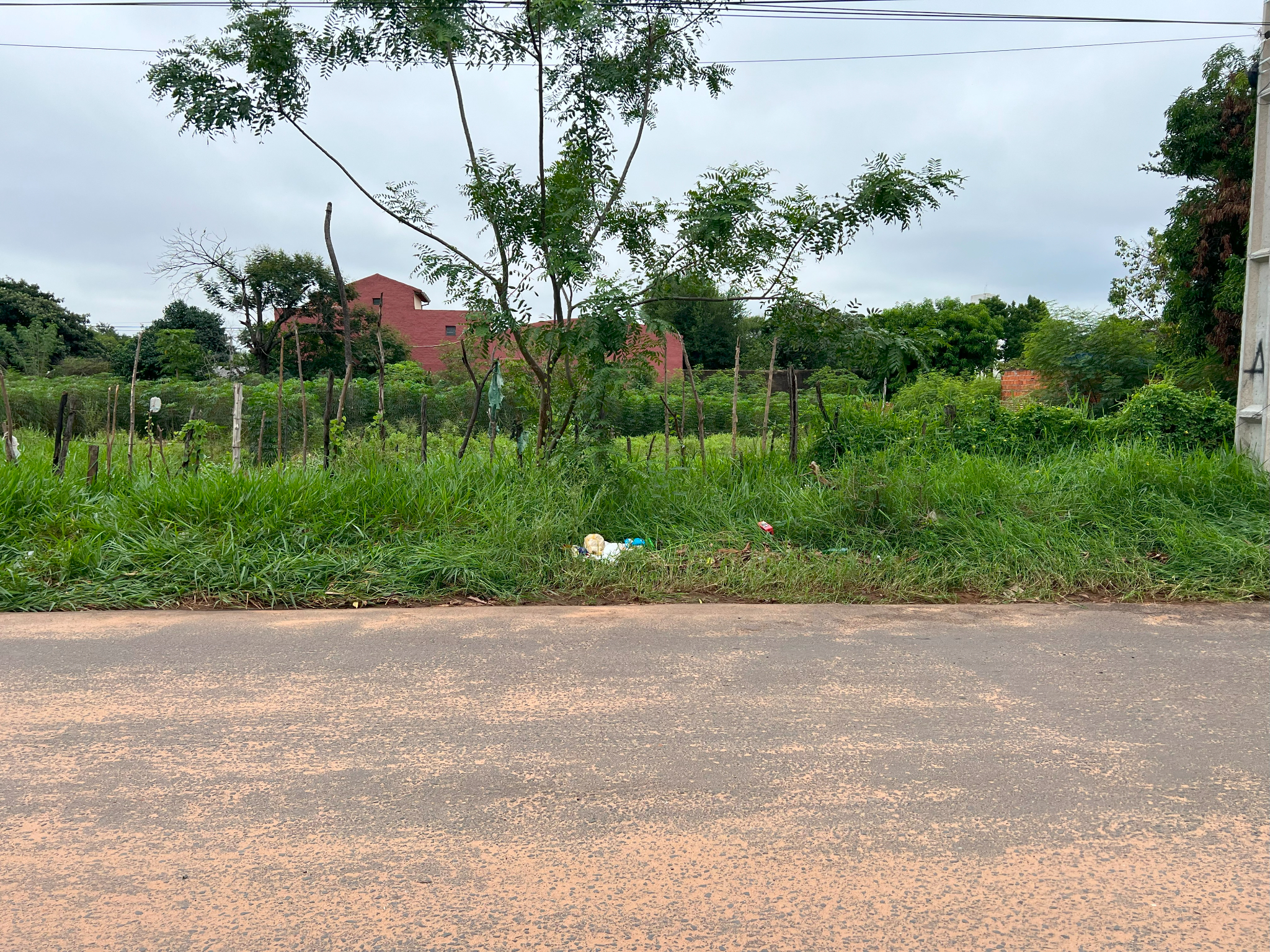 Venta – 1.272 Mts2. Dos Lotes Juntos. Sobre Asfalto En San Lorenzo — foto 3
