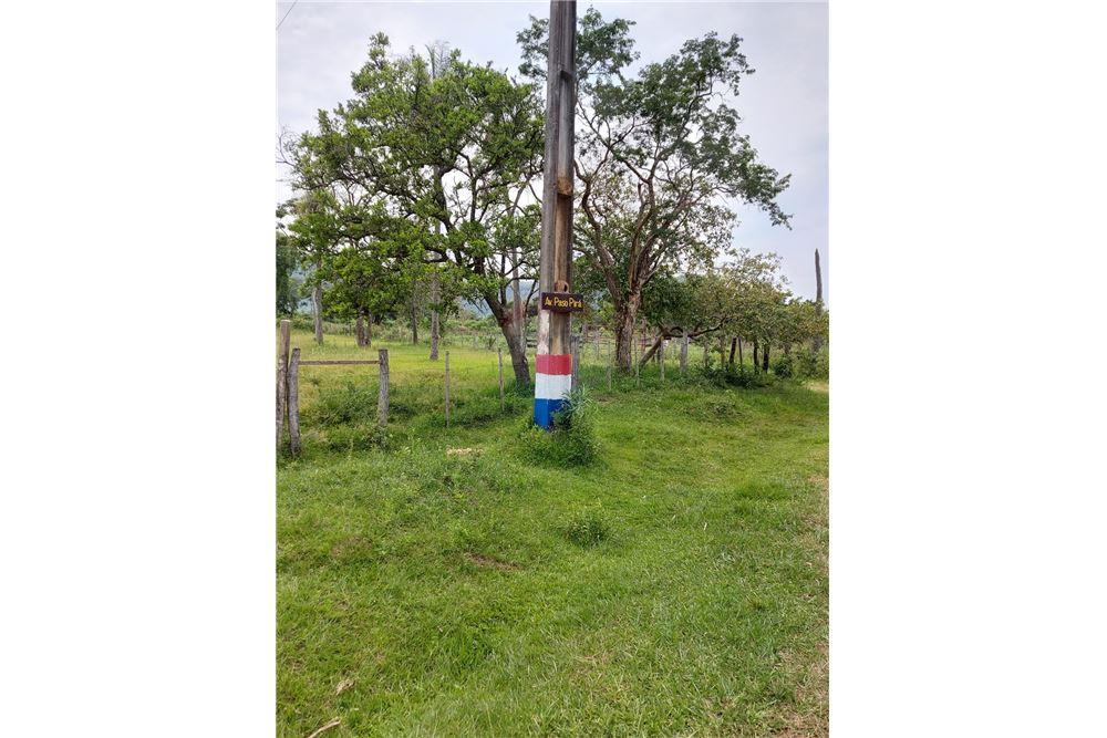 VENDO TERRENO 12,5 HA EN PIRAYÚ - CERRO VERA — foto 2