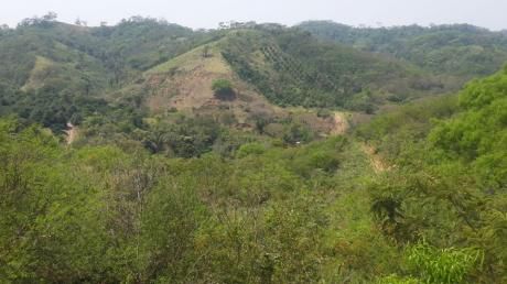 Propiedad En Venta - Municipio De La Guardia