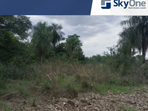 VENDO TERRENO EN SAN BERNARDINO — foto 2