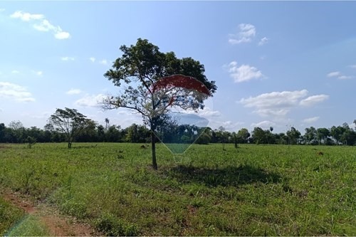 Estancia/Campo-Venta-PY Central Guarambaré — foto 2