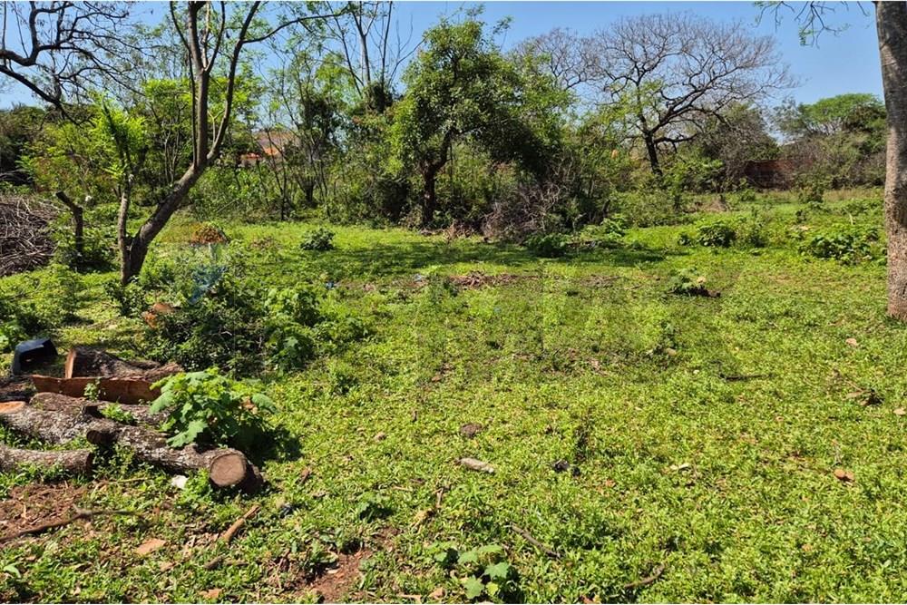 vendo amplio y gran terreno en luque city — foto 3