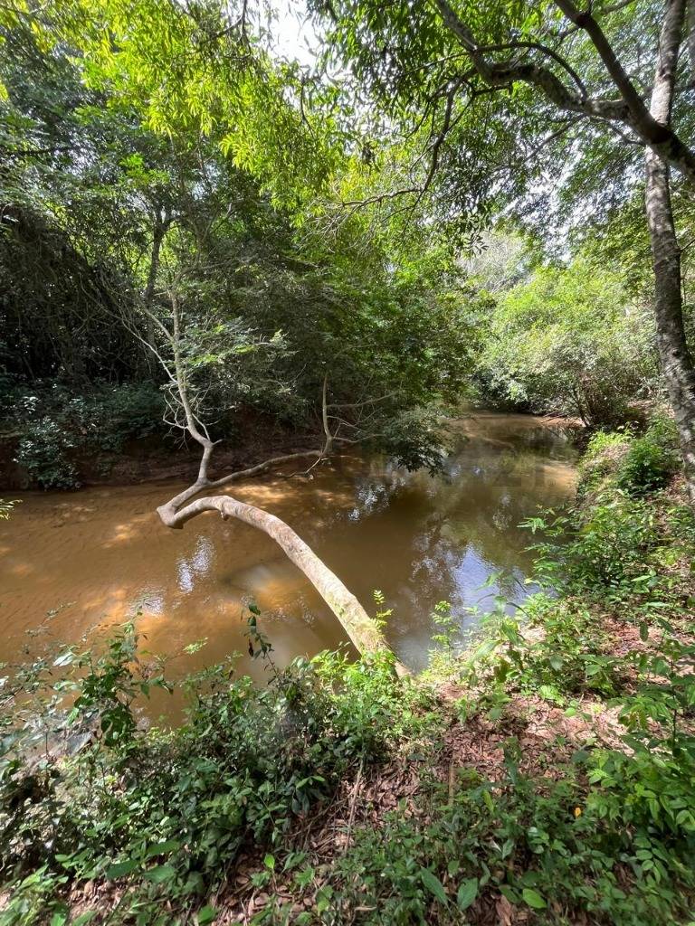 Vendo Terreno en Itacurubi de la Cordillera — foto 2