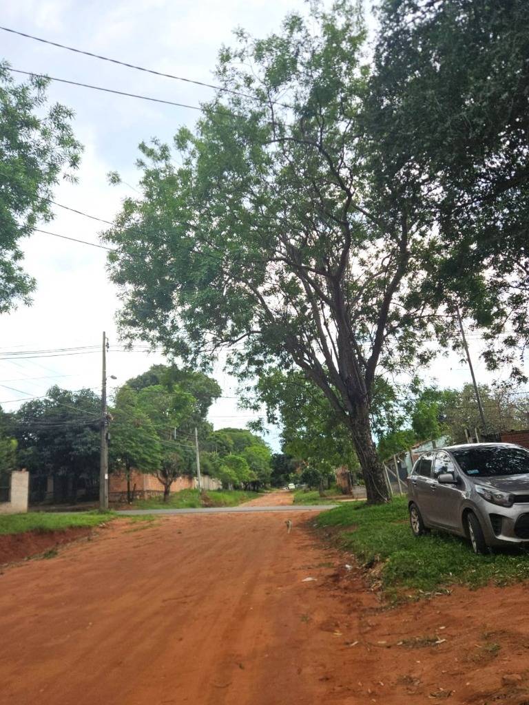 Alquilo amplio terreno 522 m² en Luque Marambure - zona comercial — foto 3