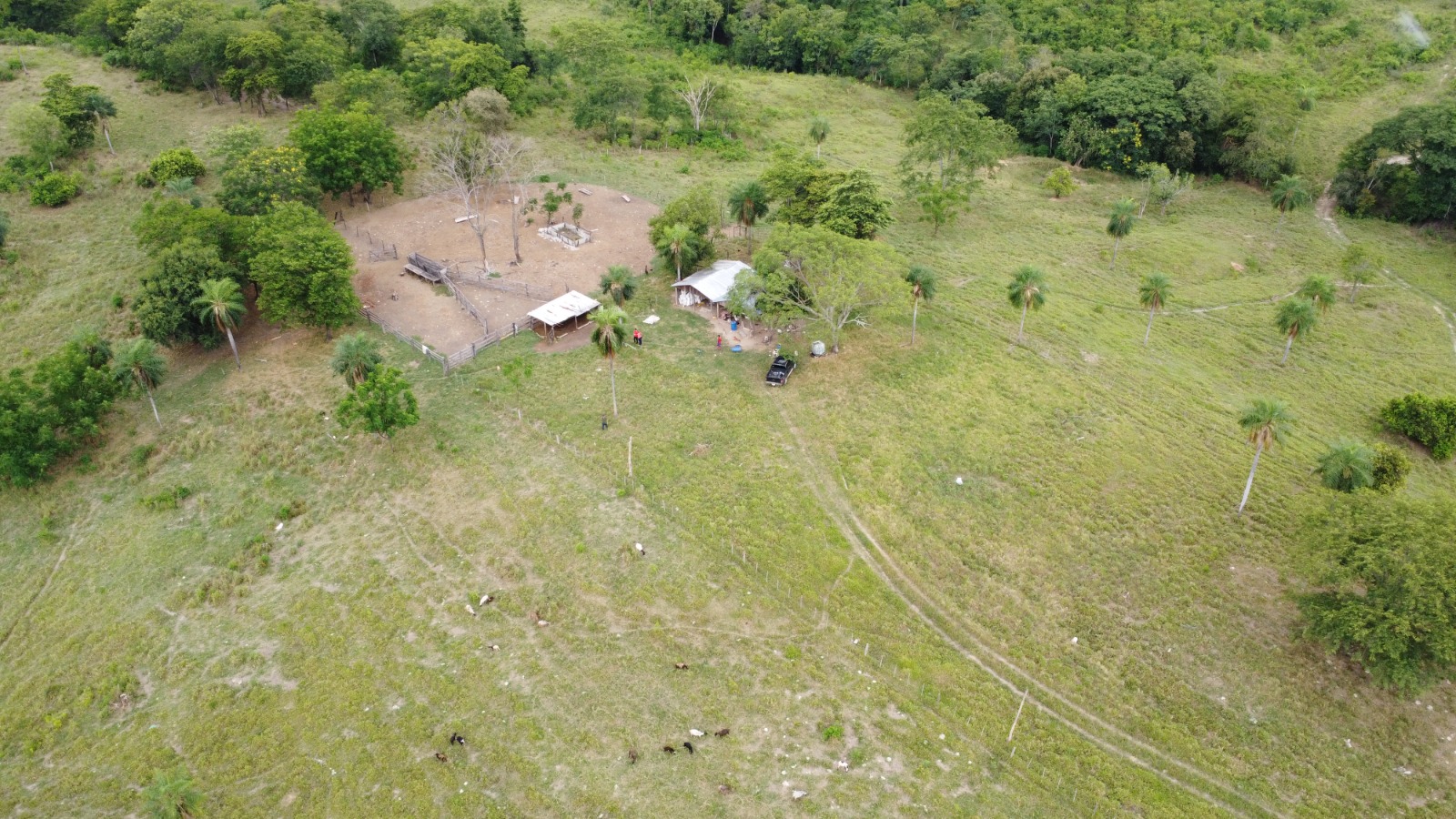 Vendo Terreno Rural de 160 Hectáreas en RI3 Corrales - Dpto. de Caaguazú — foto 3