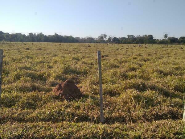 ¡OPORTUNIDAD! 5 HECTÁREAS EN ARROYOS Y ESTEROS – ZONA ALTA Y CON GRAN POTENCIAL — foto 3