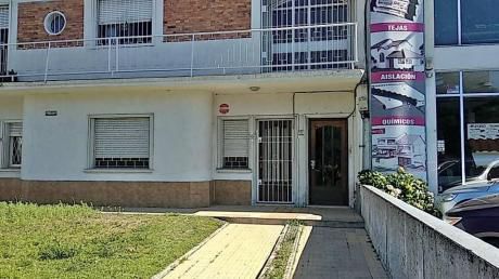 Apartamento De 2 Dormitorios A 16.000$