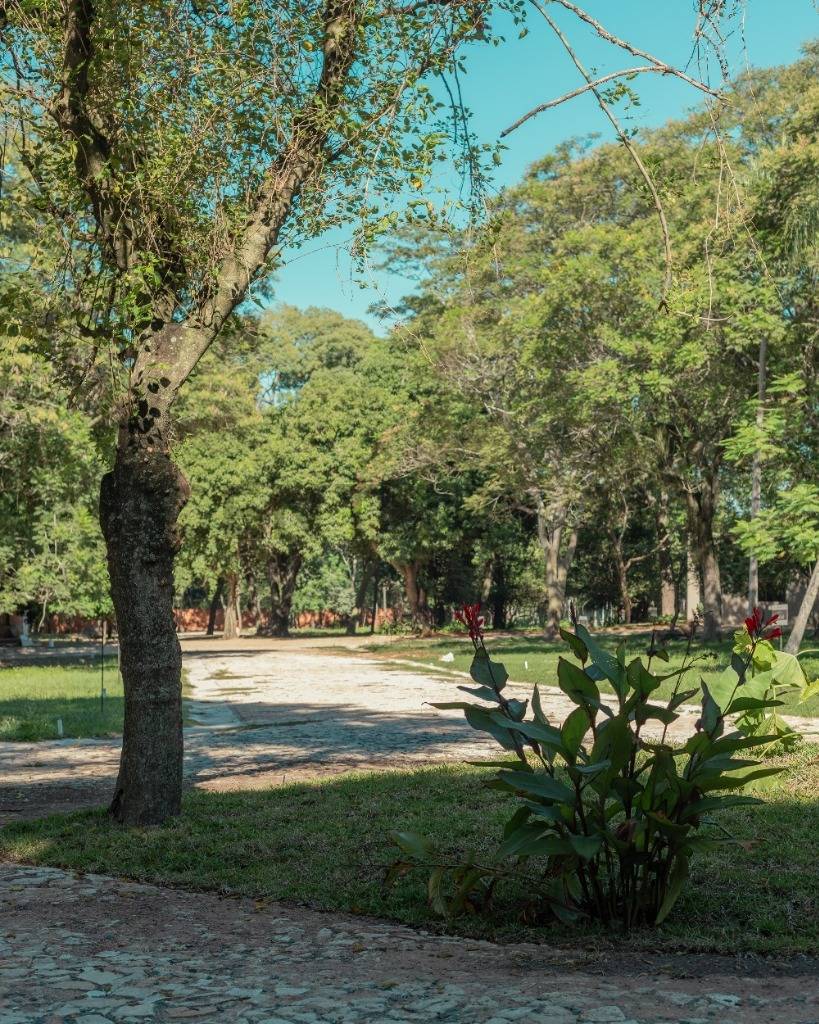 VENDO Terreno en Piedras Blancas - San Bernardino — foto 3