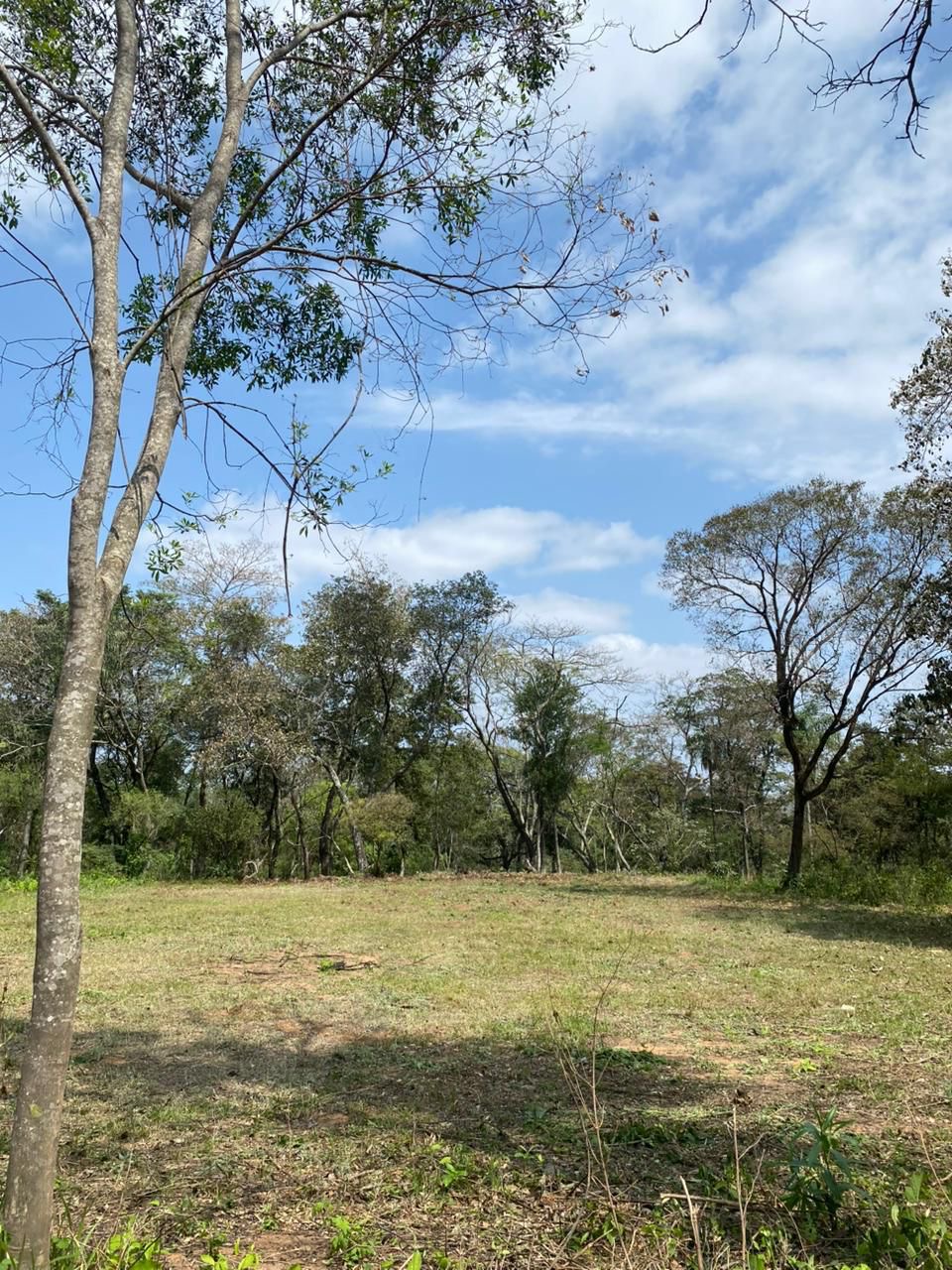 SAN BERNARDINO, ZONA ANFITEATRO, EN VENTA, TERRENO DE 1020 M2 — foto 3
