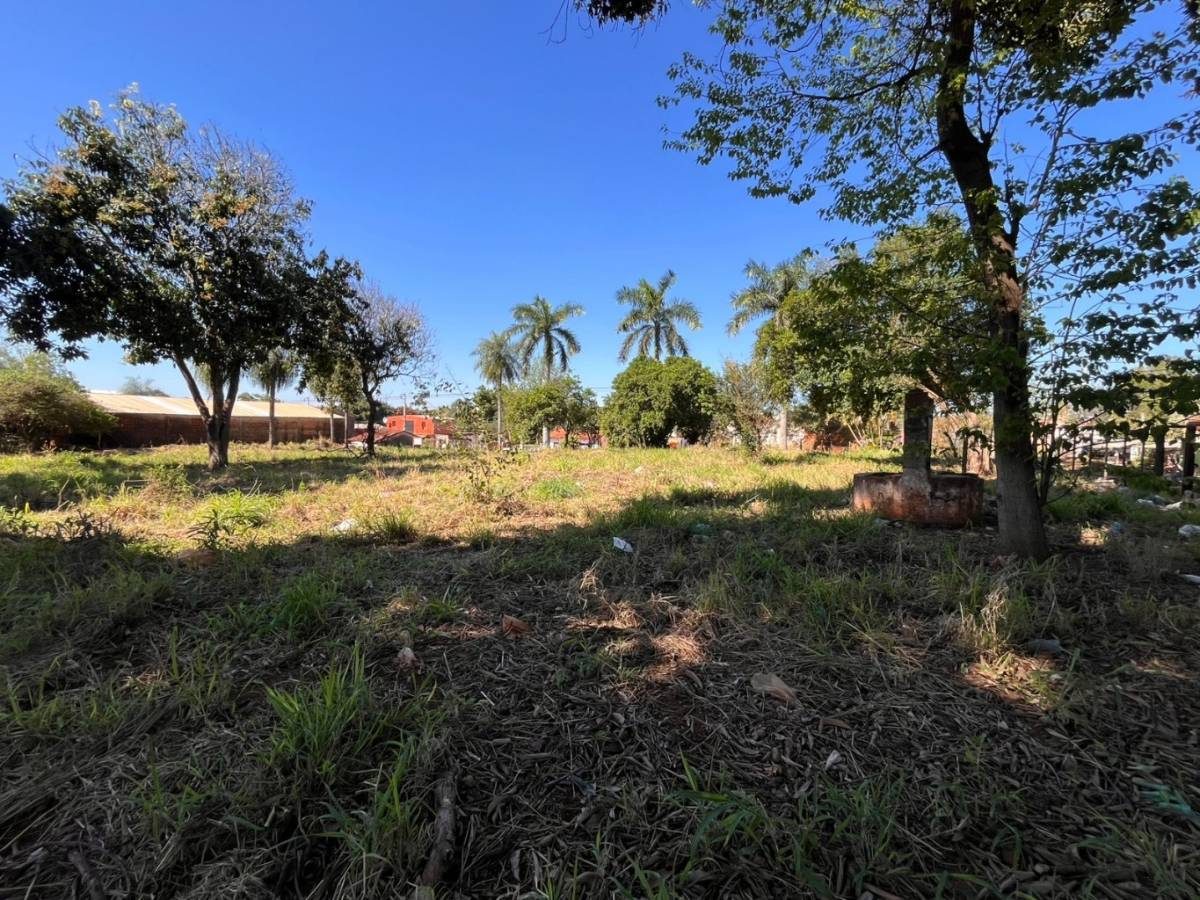 VENDO TERRENO  SOBRE CALLE ASFALTADA EN J. AUGUSTO SALDÍVAR — foto 3