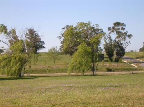 Irazabal Propiedades, Barrio Los Olivos