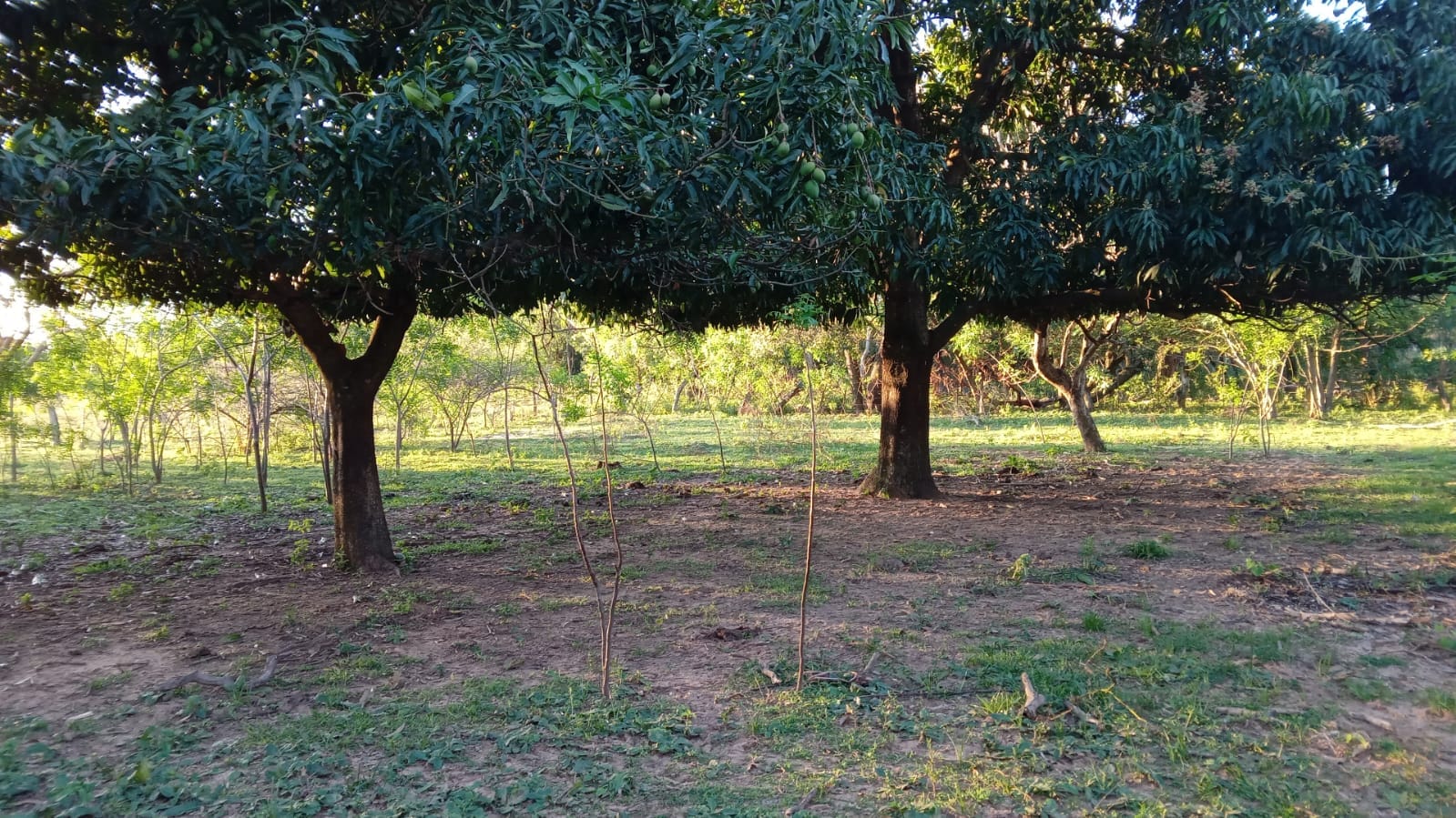 VENDO TERRENO EN MBATOVI — foto 2