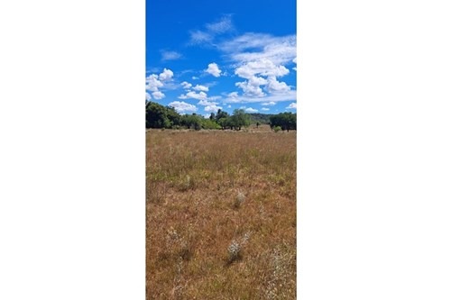 Terrenos en Venta en Ubicación Estratégica  Pirayú — foto 2