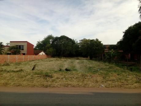 Luque Sobre Av. Britez Borges, Terreno De 1.525 M2.