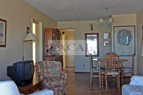 Apartamento 3 Dormitorios Pocitos