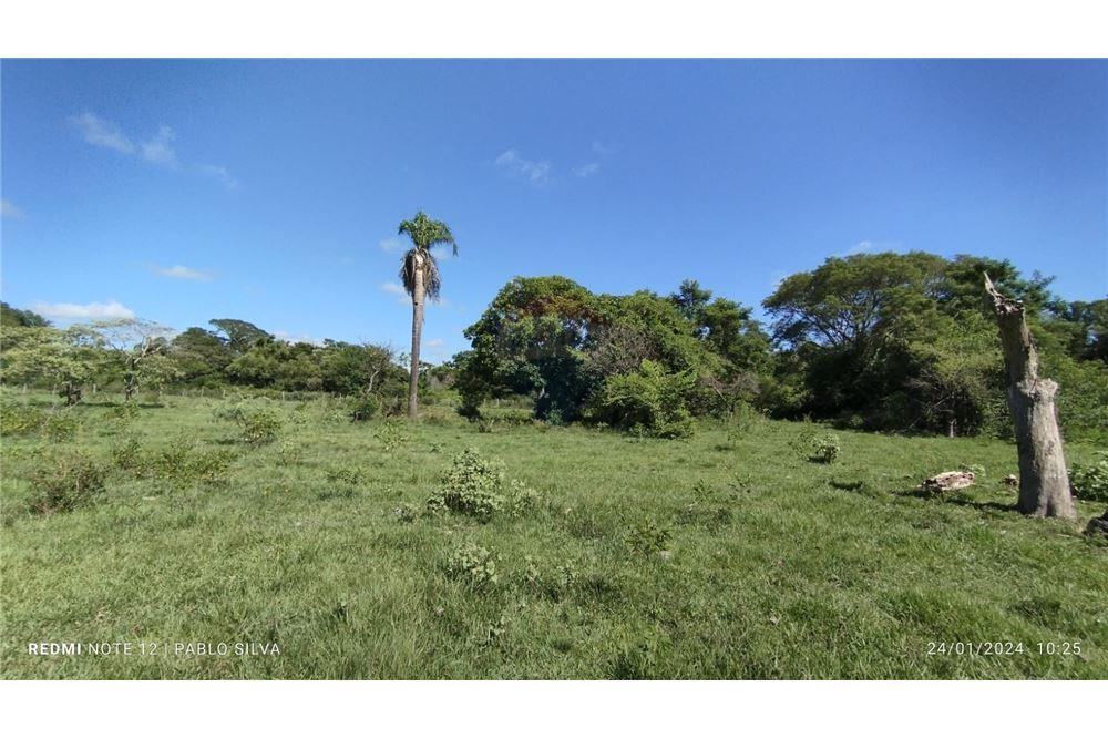 VENDO 270HA EN ÑEEMBUCU ESTERO KAMBA — foto 3