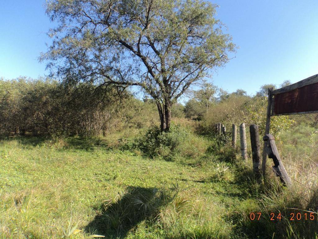 VENTA - Estancia ganadera 837 ha sobre Ruta PY12 - Villa Hayes — foto 2