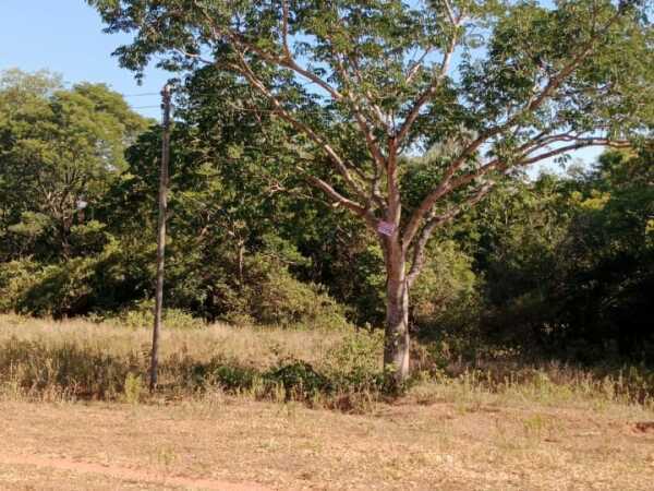 Terreno en venta en Atyrá — foto 2