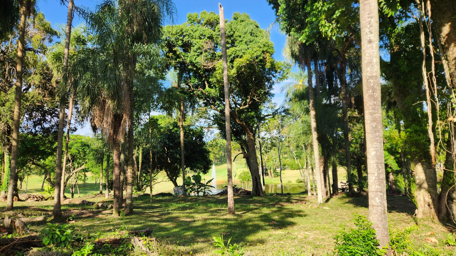 TERRENO EN VENTA — foto 3