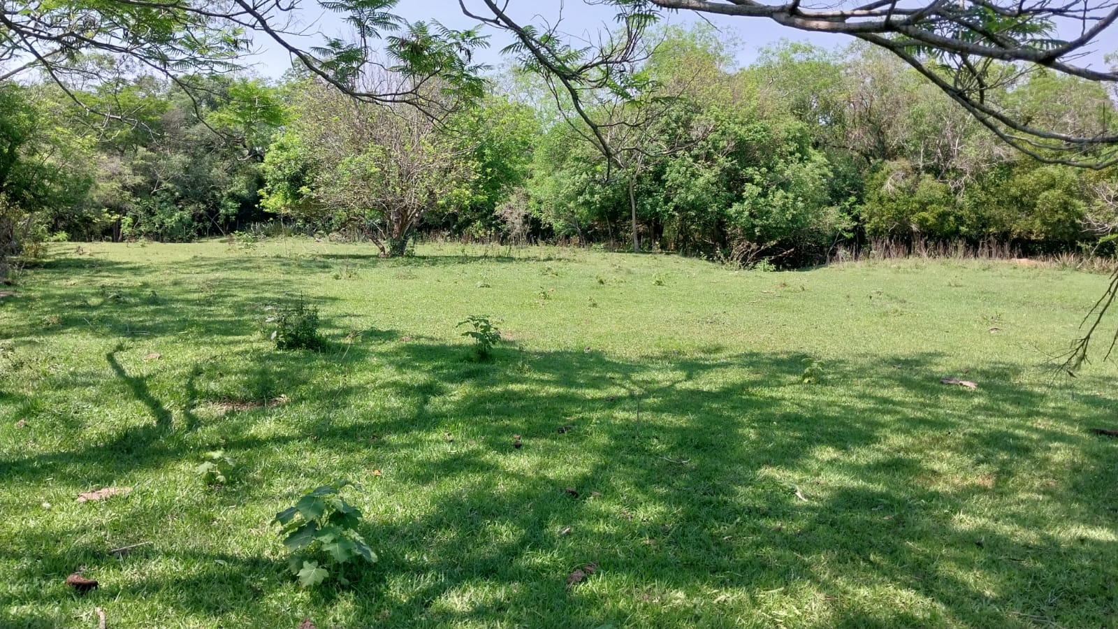 Vendo Estancia Ganaderia  72 Has.en Cordillera! — foto 3