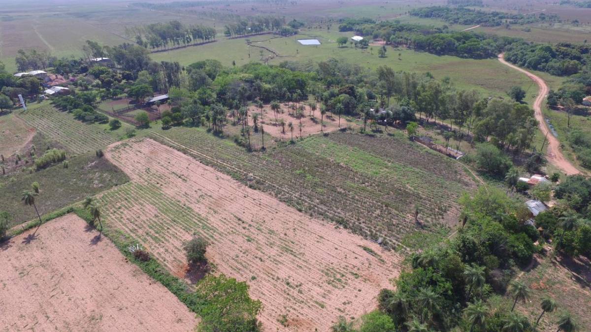 VENTA AGROGANADERA EN ACAHAY — foto 3