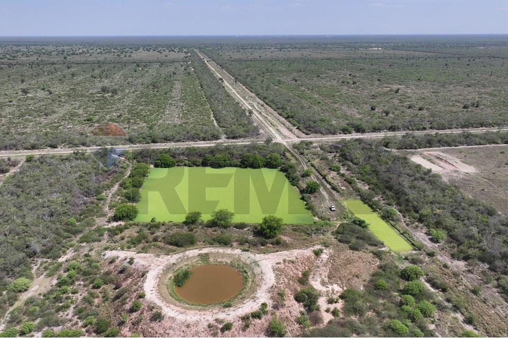 VENDO ESTANCIA EN FUERTE OLIMPO ALTO PARANA — foto 3